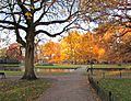 Oranjepark Apeldoorn in de herfst