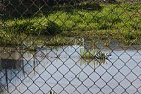 Overly Protected Wetlands