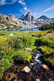 Rae Lakes Creek (6064580766)