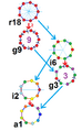 Regular enneagon symmetries