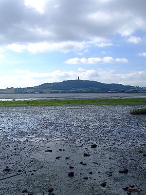 Scrobo Tower, from across Strangford Lough