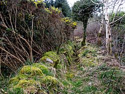 Sliabh Ban Ruined Church Wall