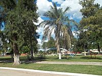 Square in Lapachito