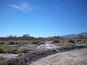 Tule Springs Death Valley