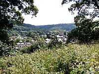 ViewFromBamptonCastleDevon