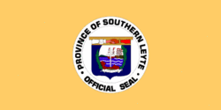 Vlag Fil SouthernLeyte