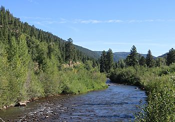 West Dolores River.JPG