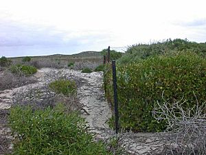 Abrolhos North-Island2