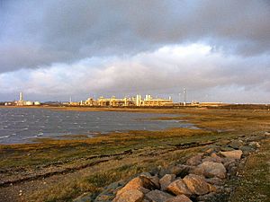 Barrow Gas Terminal - geograph.org.uk - 360715