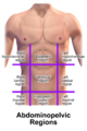 Blausen 0006 AbdominopelvicRegions