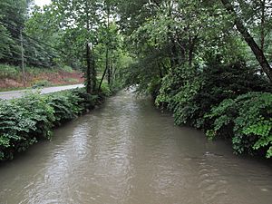 Cabin Creek WV.jpg