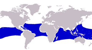 Caranx lugubris distribution.png