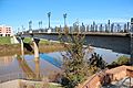 Chief John Ross Pedestrian Bridge, Rome GA Nov 2017 2