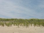 Delaware Beaches State Park.jpg