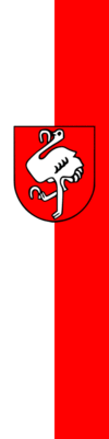 Flag of Leoben