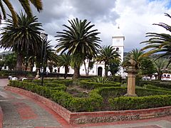 Floresta - Boyaca (3)