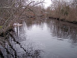 Great Egg Harbor River