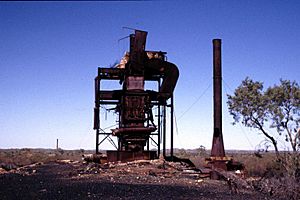 Hampden Smelter (2003).jpg