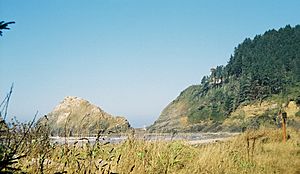 Heceta Head angled