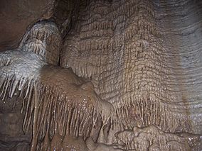 Illinois Caverns State Natural Area.jpg