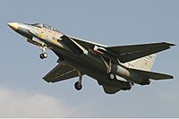 Iran Air Force Grumman F-14A Tomcat Sharifi