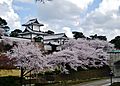 Kanazawa Kanazawa-jo Sakura 06