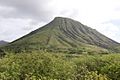 Koko Head From Lookout