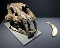 Lund's Smilodon populator