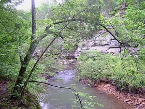 Lusk-Creek-Canyon.jpg