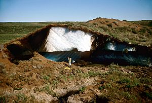 Mackenzie Delta, Pingo, Tuktoyaktuk (5)