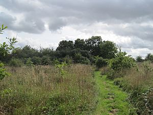 Moat Mount near Barnet Road