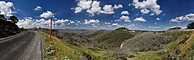 Mt hotham summer scenery