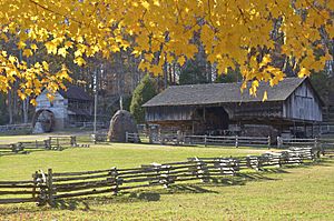 Museum of Appalachia