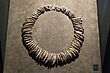 Necklace, animal teeth, Corded Ware culture, City of Prague Museum, 200338