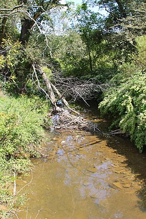 Plum Creek looking upstream