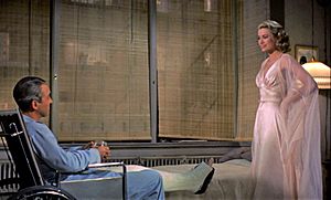 Rearwindow trailer 2