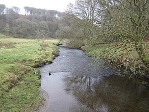 River Barle at Simonsbath