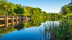 Rockford Dam (82979021)