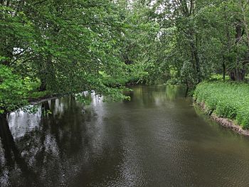 Rocky River Flowerfield Township Michigan.jpg