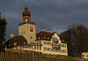 SchlossHeerbrugg2