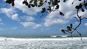 Schoolyards Beach, Aguadilla, Puerto Rico