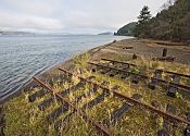 Sequalitchew beach and tracks