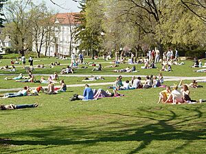 Students on JMU Quad