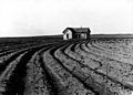 Tenantless farm Texas panhandle 1938