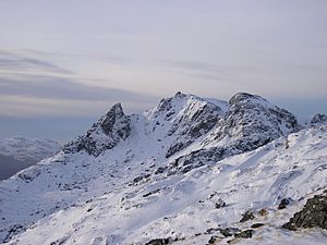 The Cobbler February 2019