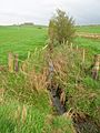 The Dalrympleston Burn