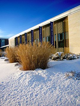 UIUC Krannert Art