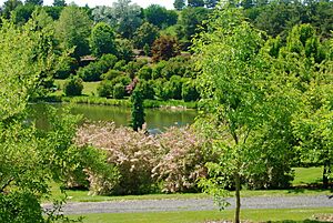 UofIArboretumGreenery