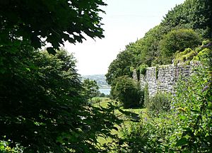 Wall of Agaton Fort, Plymouth. - geograph.org.uk - 915280