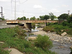 West Glebe Road Bridge 2020